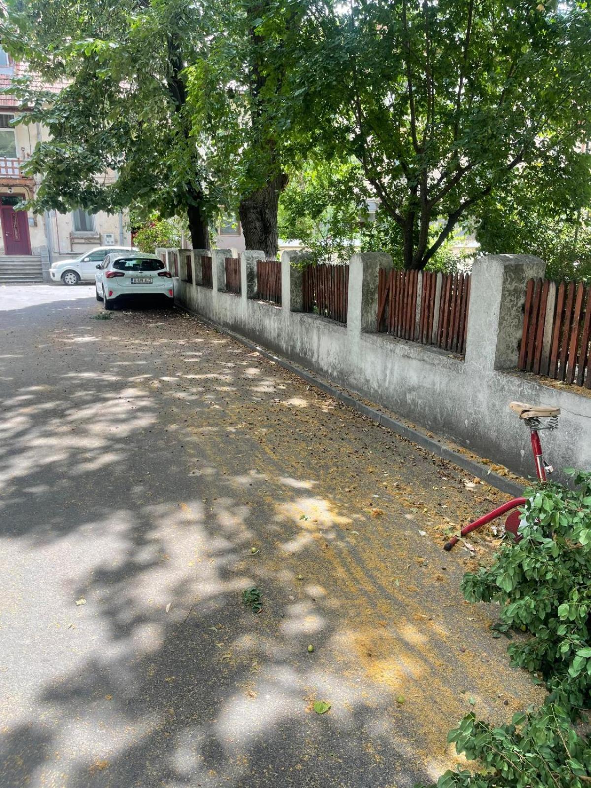 Prime 1 Studio Bukarest Kültér fotó